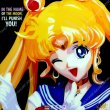 画像2: Sailor Moon / セーラームーン [ポップアートパネル / Keetatat Sitthiket / Sサイズ / Mサイズ] (2)